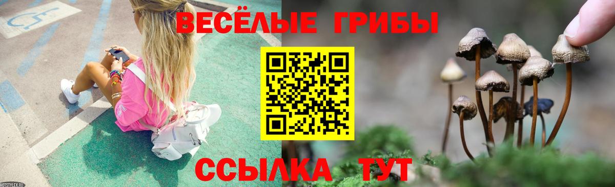 Сочи  Галлюциногенные грибы ЛСД  Вход с VPN 