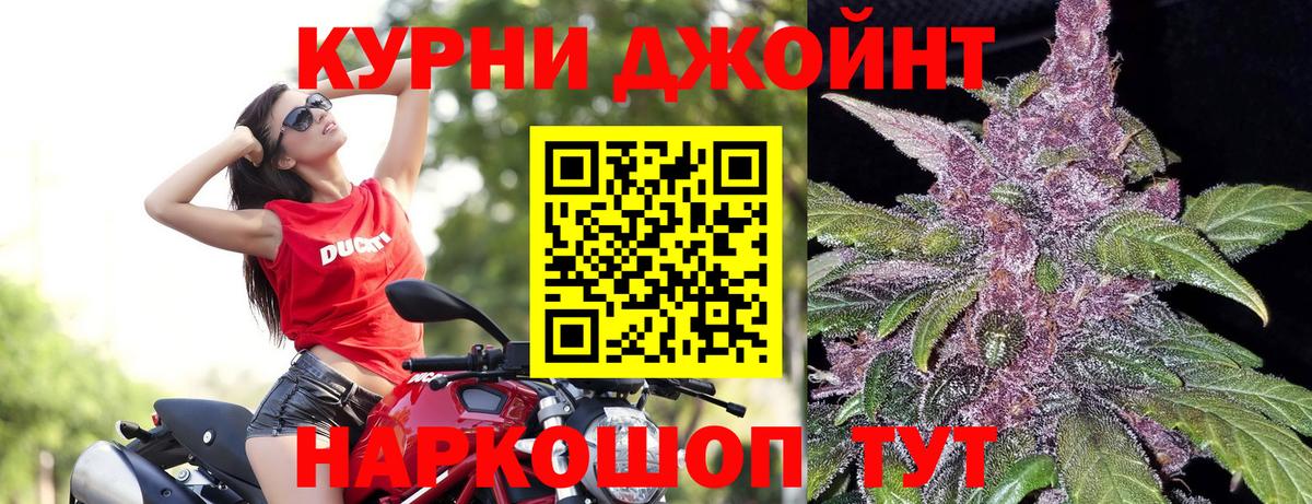 Бошки марихуана сатива  Вход с VPN  Бошки Шишки Ganja  Сочи  Канабис конопля 